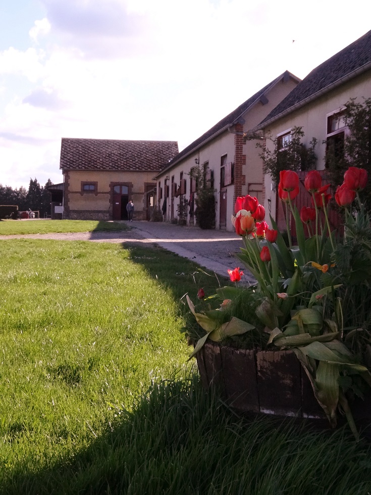 Centre equestre du Mont Houel