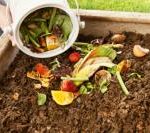 Compost