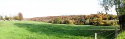 Automne