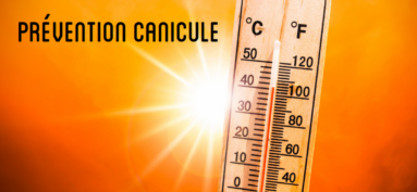 CANICULE
